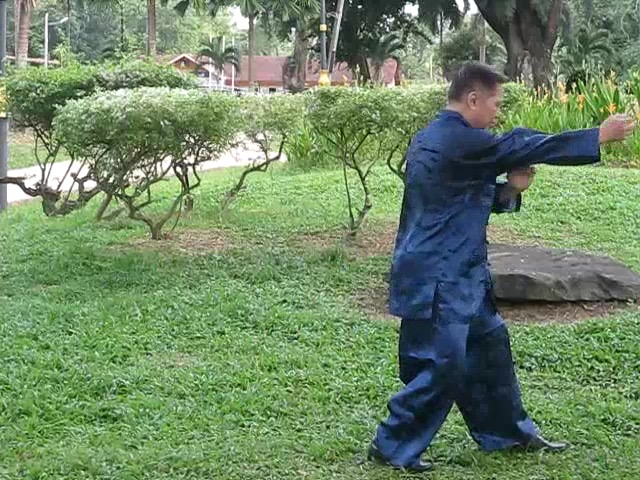 Wu Yu Xiang Style Taijiquan